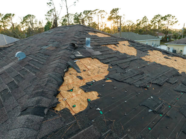 Best Roof Moss and Algae Removal  in Jacinto City, TX